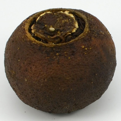 Ganpu - Mandariini puerh