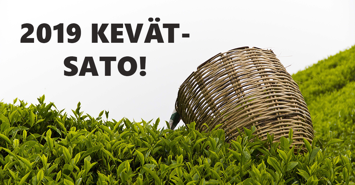 Kevään 2019 ensimmäiset uuden sadon teet ovat saapuneet! Lisää tuotteita lisätään sitä mukaan, kun niitä tulee lisää. Tilaa ja maista huipputuoretta vihreää teetä ja aromaattista First Flush Darjeeling-teetä!
