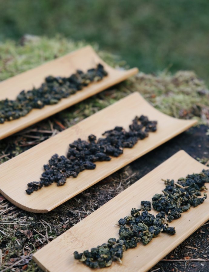 Maailman korkeimmalla kasvatettua teetä – 3 uutuusoolongia Taiwanista!