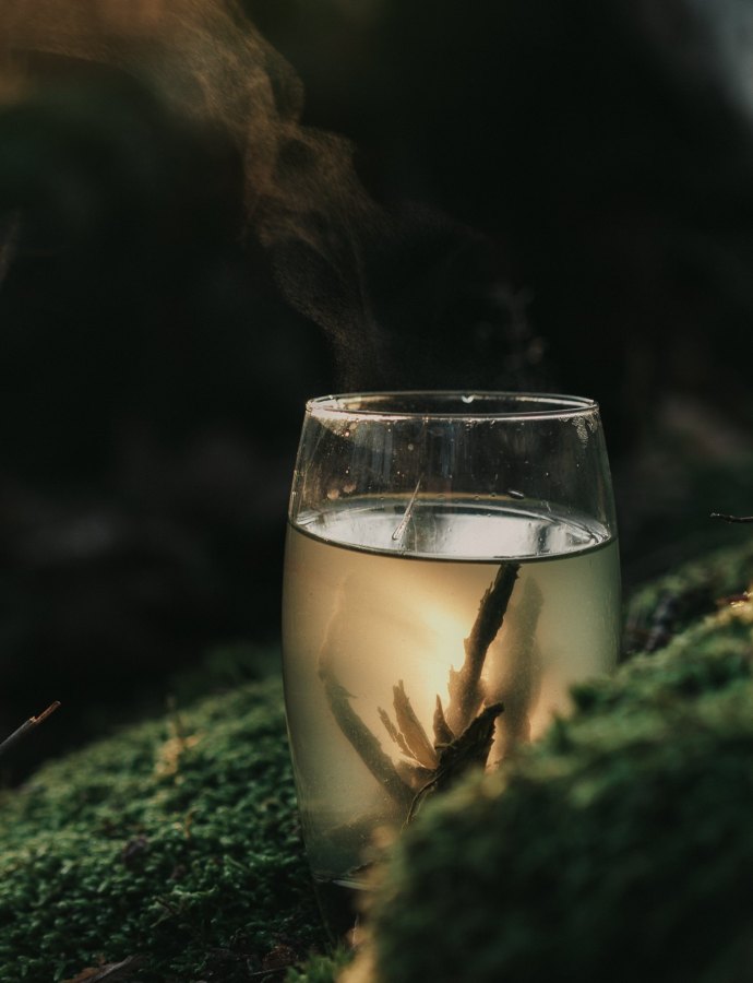 Tai Ping Hou Kui – yksi Kiinan kymmenestä parhaasta teestä!